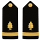 Shoulder Boards